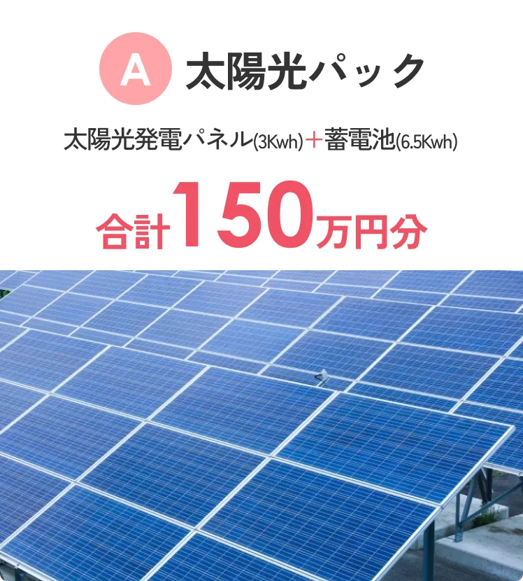 A 太陽光パック