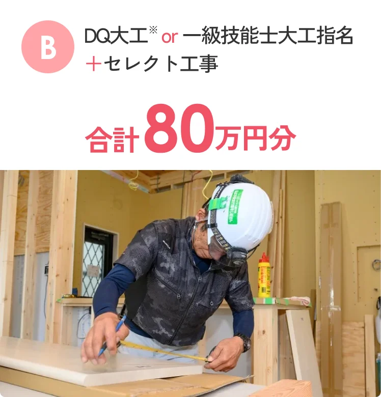 B DQ大工 or 一級技能士大工指名 + セレクト工事