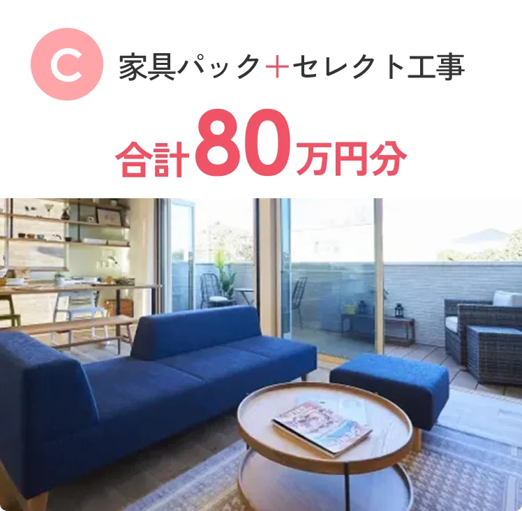 C 制振装置エンダーウォール + セレクト工事