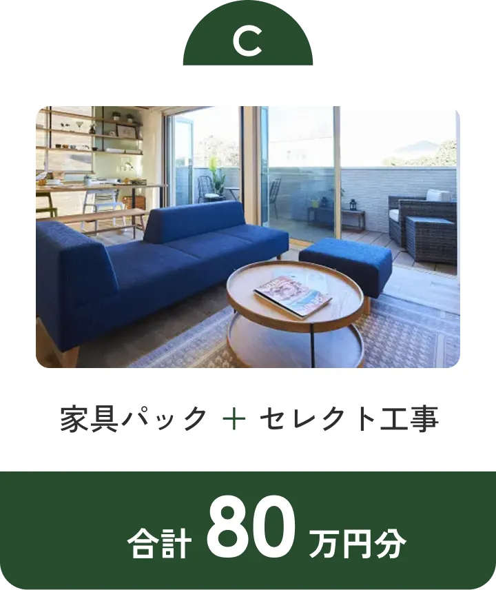 C 制振装置エンダーウォール + セレクト工事