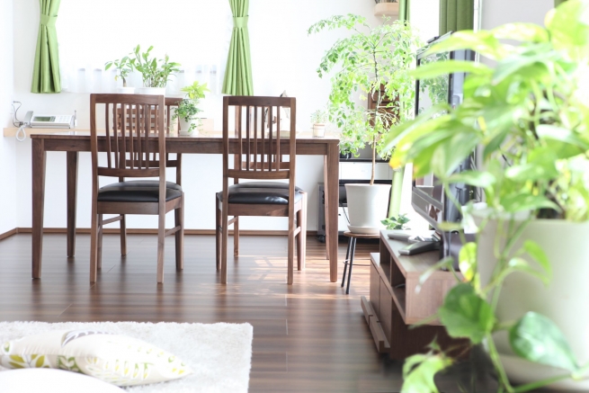 奥様は観葉植物を育てたいとハッキリとした想いがあったとの事で、リビングは本物のグリーンがいっぱい。イミテーションのグリーンよりも、やっぱり生きているグリーンの色っていいですね。