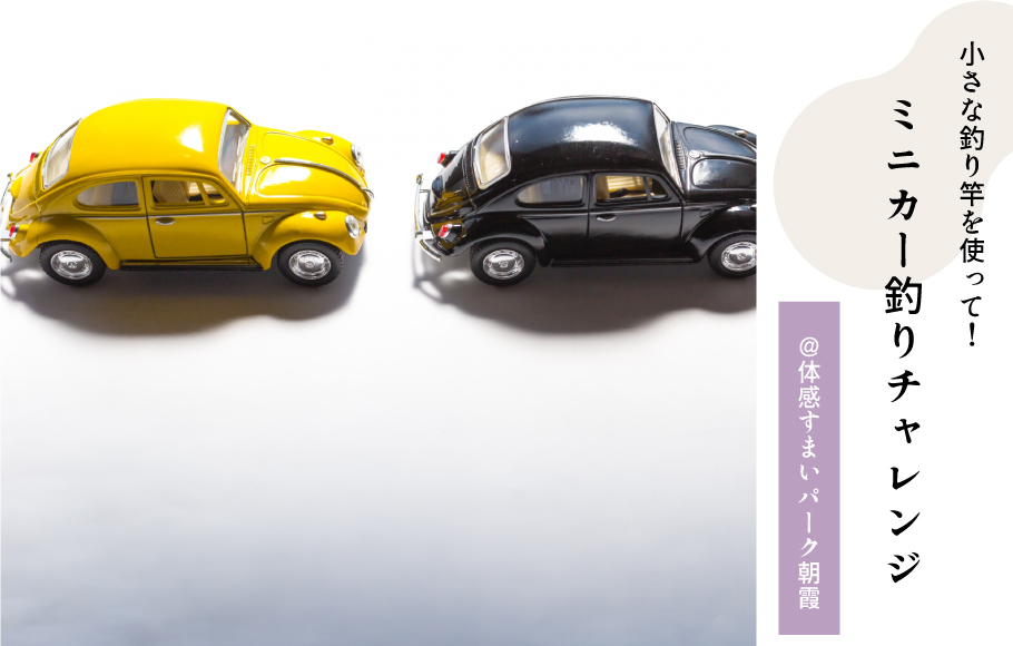 ミニカー釣り