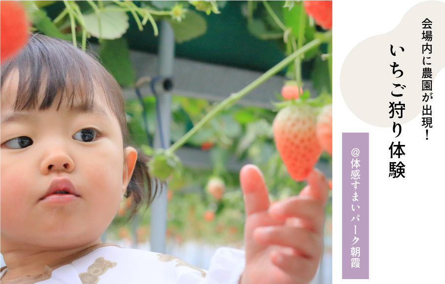 いちご狩り体験