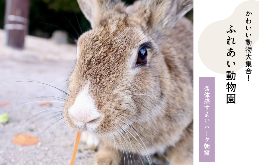 ふれあい動物園