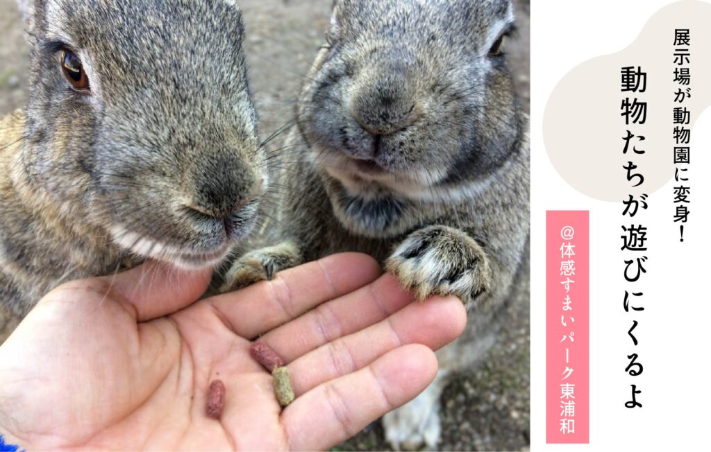 動物園