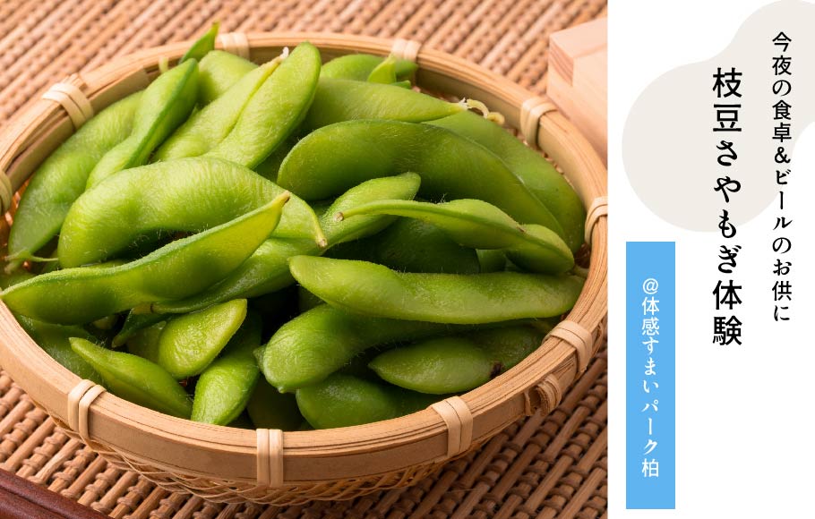 枝豆