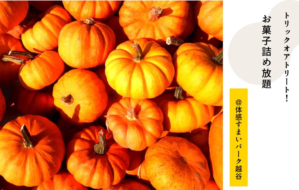 お菓子詰め放題