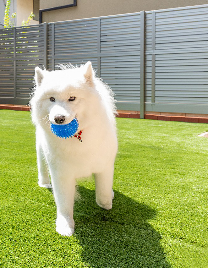 愛犬と暮らす家