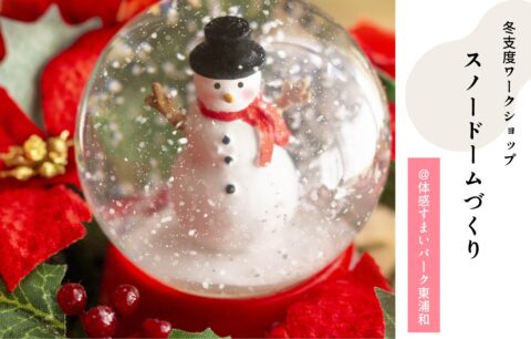 スノードーム